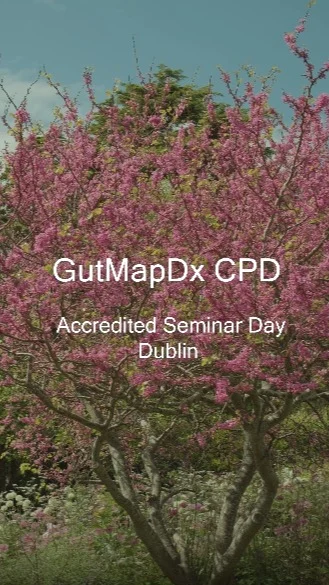 Instagram post from gutmapdx. This post is in position 0.